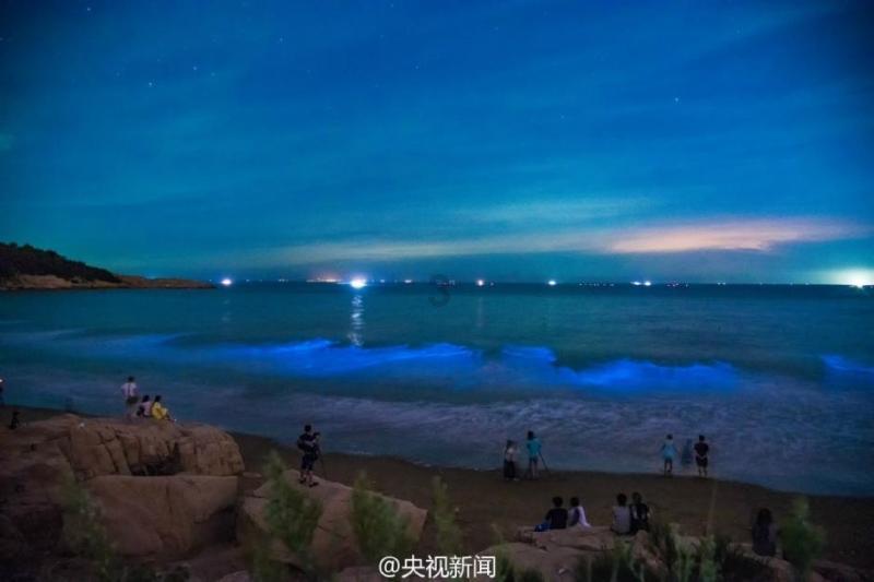 全村的希望
