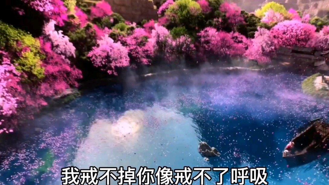 一碗特别的面