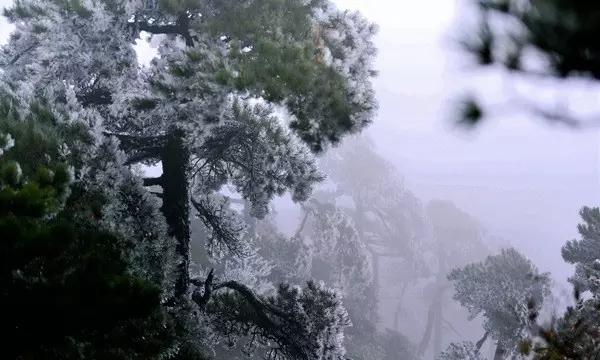 直播间穿哪套好看？