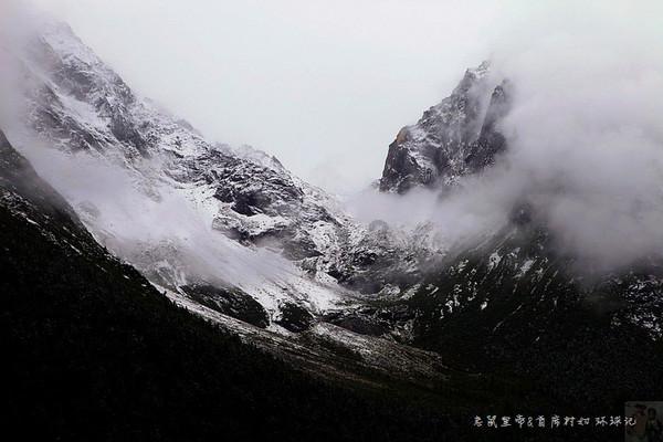 天才24岁球员王泉泽因伤病陨落,曾创下NCAA中国最高得分纪录