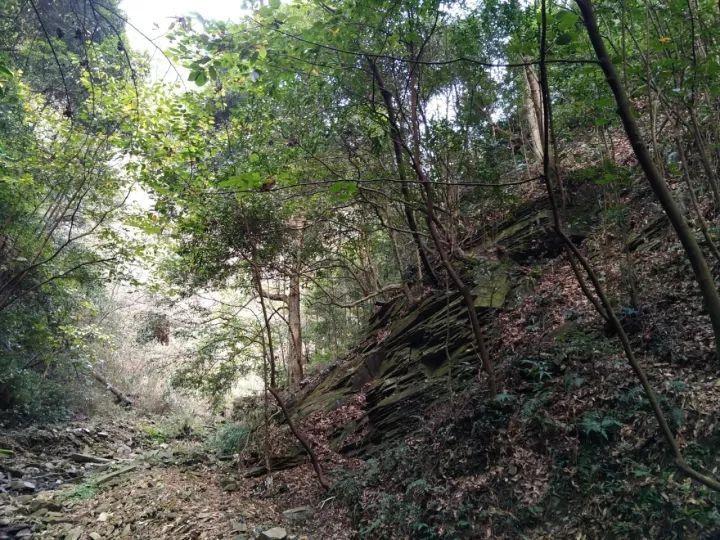 逃离黑砖房间