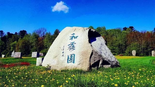 塘沽青少年业余体校科学育苗结硕果
