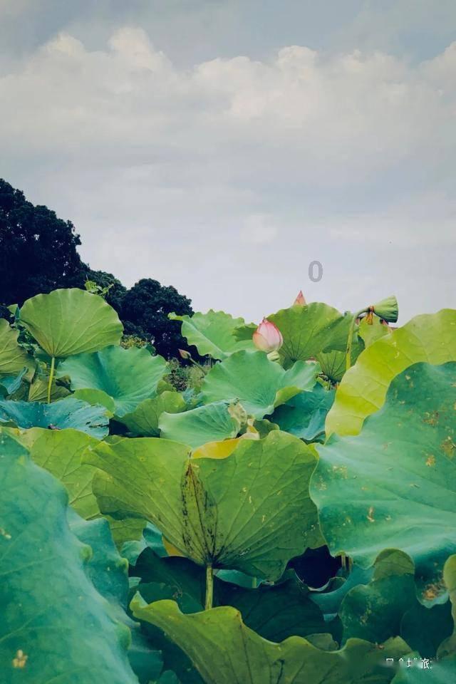 跪求像这样的花体26个英文字母 。。 ℳ ℱ ℛ游戏画面