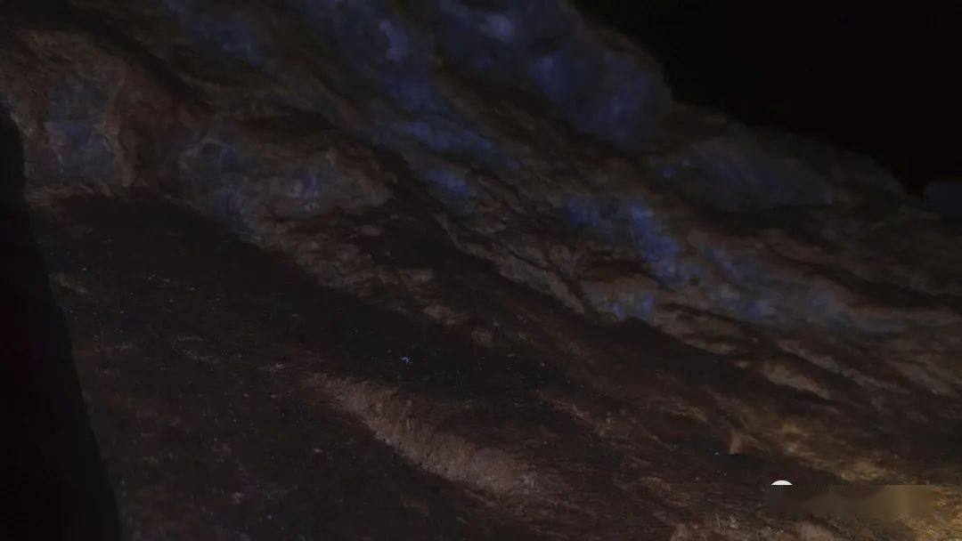 全市政府性融资担保体系提档升级