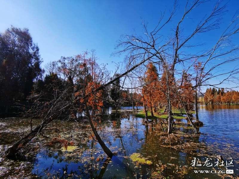 甜蜜糖果岛