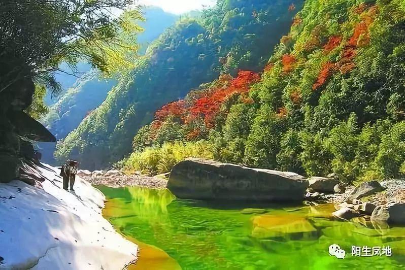 足球啦啦队员