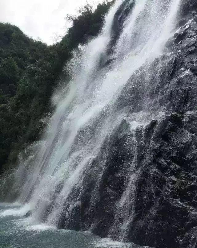 88影视